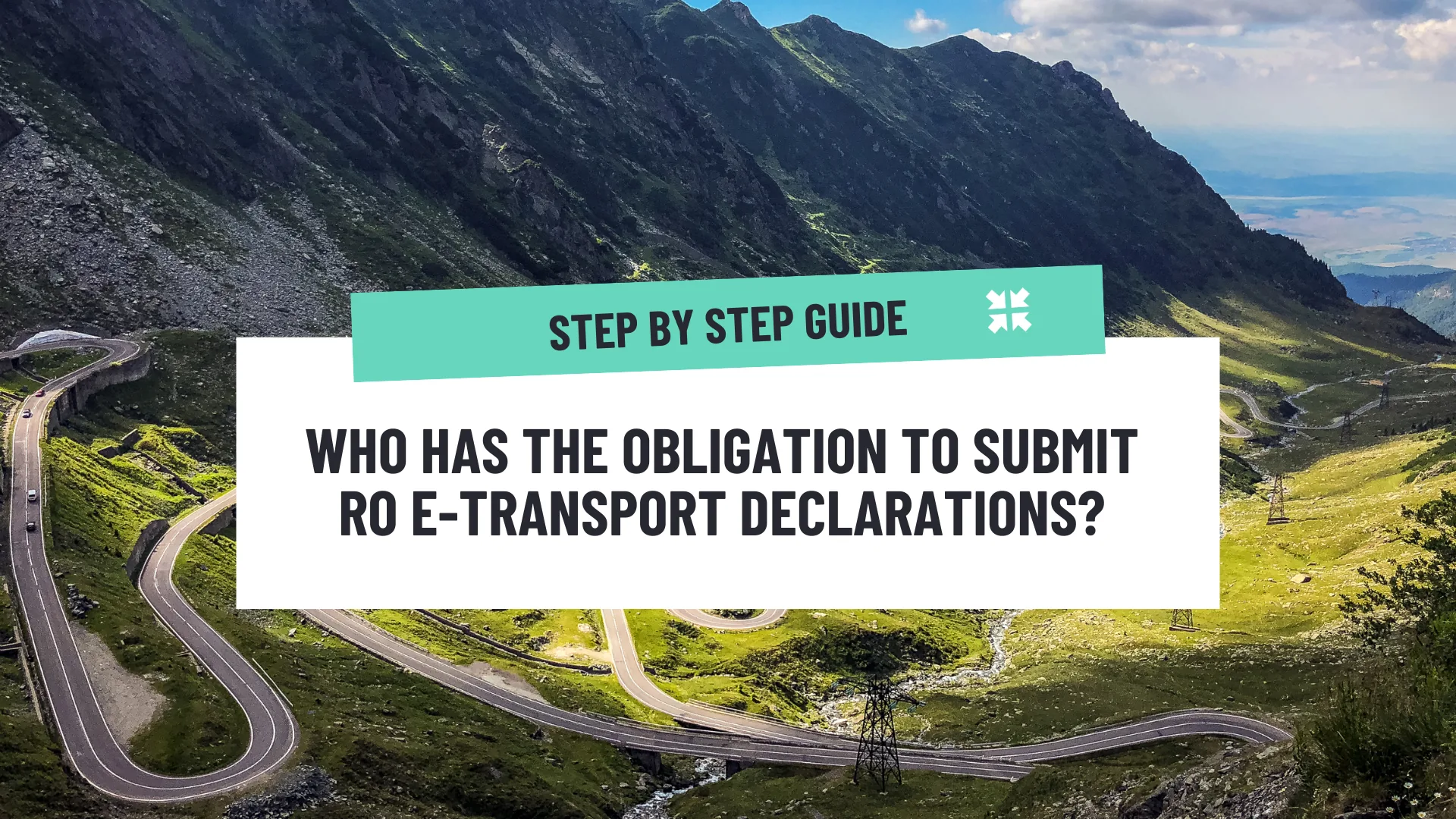 Who has the obligation to submit RO e-Transport declarations