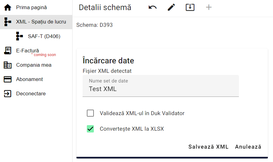 Opțiuni de conversie XLSX în XML